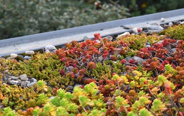 the cost of Upend green roof installation
