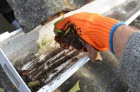 rated Upend gutter cleaning companies