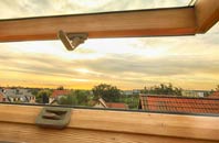 rated Upend roof window companies